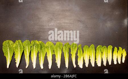 Raw of fresh organic romain lettuce salad leaves from big to small on dark  backgruond. Top view. View from above. Copy space Stock Photo