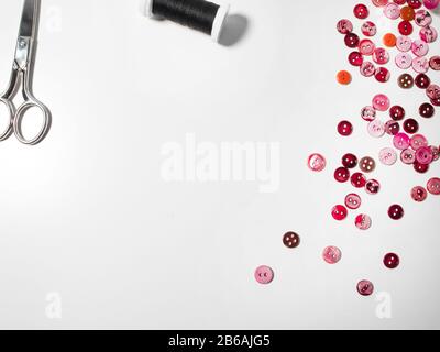 Clothing pink buttons, thread and scissors on white background. Sewing and craft concept. Stock Photo