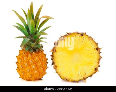One whole baby pineapple with green leaves and a half of pineapple isolated on white background Stock Photo
