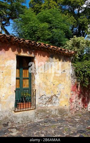 old building; crumbling facade, window, planter, 17th century cobblestone street, Barrio Historico, Portugese colors, South America; UNESCO site, Colo
