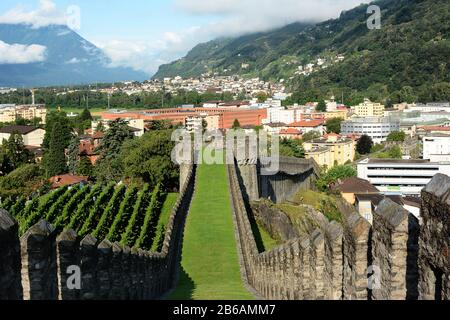 BELLINZONA, SWITZERLAND - JULY 4, 2014: Vineyards at Castle Grande, Bellinzona, Switzerland. The town lies in the distance. Stock Photo