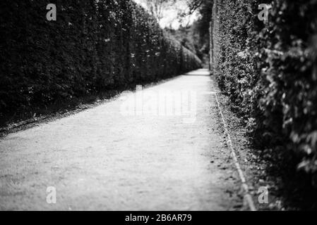 labyrinth road close up view Stock Photo