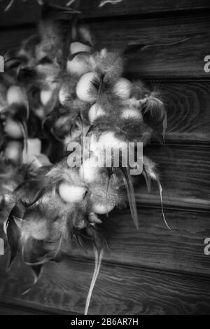 decorative feathers as door hanger Stock Photo