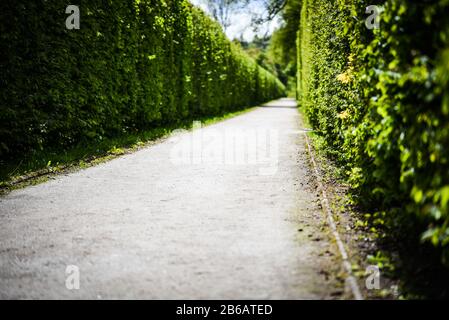 labyrinth road close up view Stock Photo