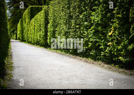labyrinth road close up view Stock Photo
