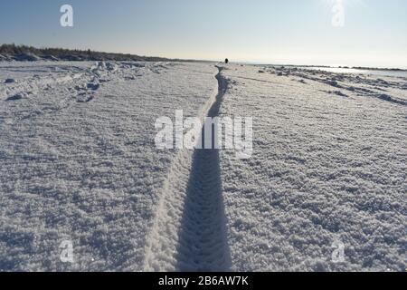 Bike tire track on fresh snow Stock Photo