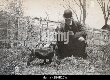 Antique July 1898 photograph, Victorian man with Spaniel dogs in backyard. Exact location unknown, probably New York. SOURCE: ORIGINAL PHOTOGRAPH Stock Photo