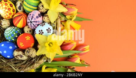 Happy Easter - painted eggs and daffodils on colored background Stock Photo