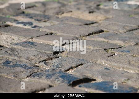 Close up picture of an old cobblestone / paving street,  background Stock Photo