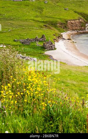 Ruined buildings next to the beach at Kirka Taings beside Sandsound Voe in the west of Shetland Mainland. Stock Photo