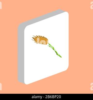 Wheat Simple vector icon. Illustration symbol design template for web mobile UI element. Perfect color isometric pictogram on 3d white square. Wheat i Stock Vector