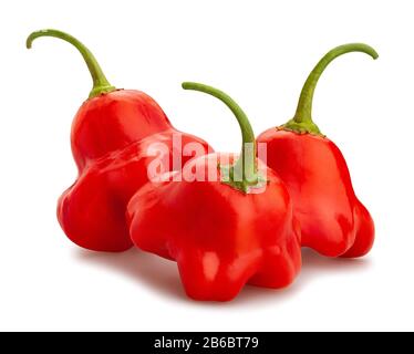 bishop's crown pepper path isolated on white Stock Photo