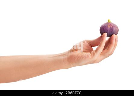 fig in hand path isolated on white Stock Photo