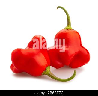 bishop's crown pepper path isolated on white Stock Photo