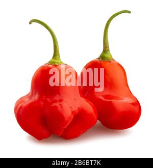bishop's crown pepper path isolated on white Stock Photo