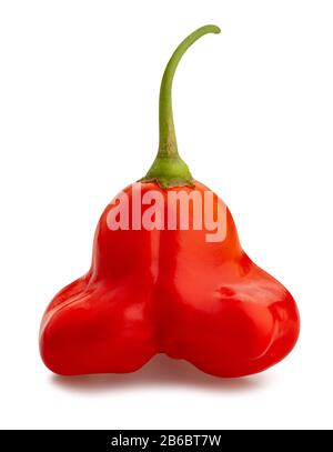 bishop's crown pepper path isolated on white Stock Photo
