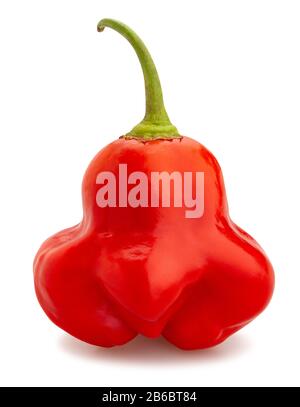 bishop's crown pepper path isolated on white Stock Photo
