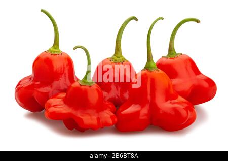 bishop's crown pepper path isolated on white Stock Photo