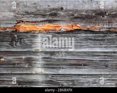 Texture of weather-damaged old wooden wall. Abstract background in gray tones Stock Photo