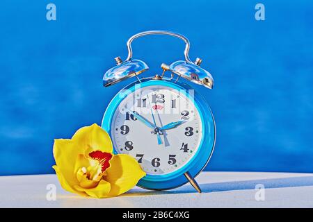 Blue alarm clock with yellow orchid as spring forward and daylight saving concept. Abstract photo of changing time in spring. Turn time forward. Stock Photo