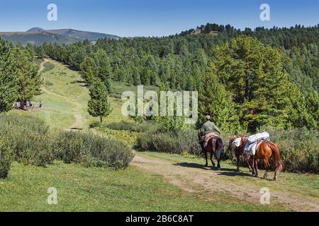 Man mountain guide travel on the horse with cargo at hiking tour route.
