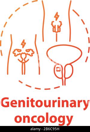 Genitourinary oncology concept icon. Human reproductive system disorder. Cancer awareness. Health care idea thin line illustration. Vector isolated Stock Vector
