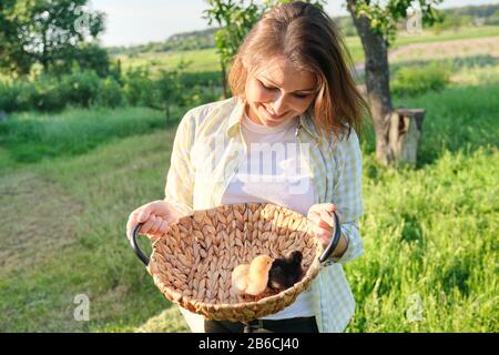 Woman farmer holding in hands two small newborn baby chickens Stock Photo