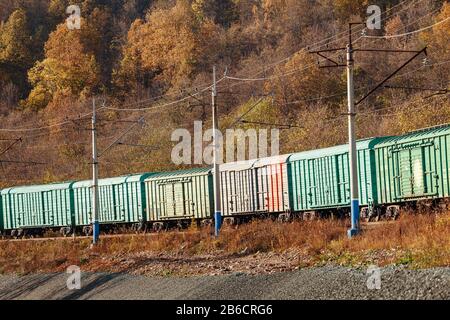 freight train rides through the forest view from the curb Stock Photo