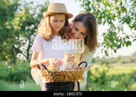 Little ginger kitten sitting in basket, in arms of mother and daughter child Stock Photo