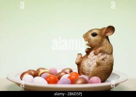 Jolly mouse and a plate of chocolate easter eggs. 09/03/2020. droitwich, worcester, england, uk. Jolly mouse sat on a plate of chocolate easter eggs. Stock Photo