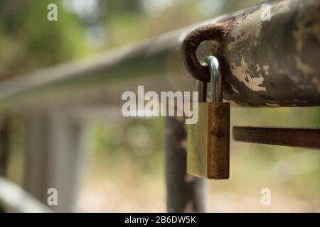 Padlock on gate across steel gate at entrance to a forest track, River Head Forest, Kumeu, Auckland, New Zealand. Stock Photo