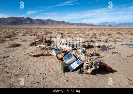 Remains of the Joshua Tree used by U2 for the album of the same name, near Death Valley National Park, California, USA Stock Photo