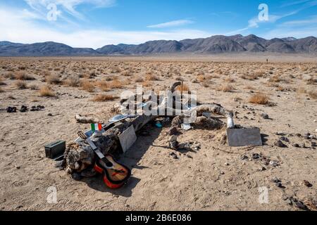 Remains of the Joshua Tree used by U2 for the album of the same name, near Death Valley National Park, California, USA Stock Photo