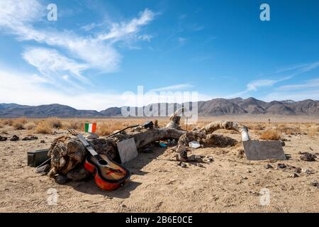 Remains of the Joshua Tree used by U2 for the album of the same name, near Death Valley National Park, California, USA Stock Photo