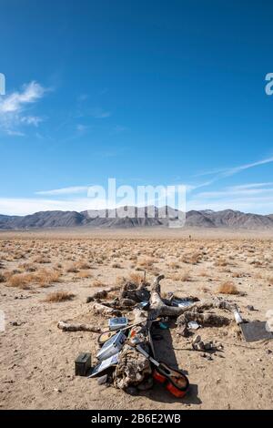 Remains of the Joshua Tree used by U2 for the album of the same name, near Death Valley National Park, California, USA Stock Photo