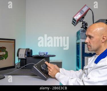 Quality engineer examines a sample scanned with a laser on a 3d scan in a research laboratory Stock Photo