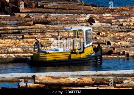 Boom boat working with log booms near Harmac Pacific Pulp Mill, Nanaimo, Vancouver Island, BC, Canada Stock Photo