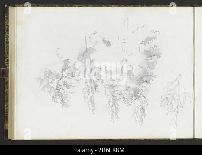 Bomen Trees Object Type: sketch-leaf Object number: RP-T-1996-2-45 (V) Description: Journal 45 verso from a sketch-51 bladen. Manufacturer :  draftsman: Lambertus Lingeman (attributed to) Date: 1839 - 1894 Physical features: pencil material: paper pencil  Subject: tree Stock Photo