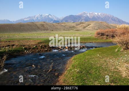 River in Mogolia in front of mountains Stock Photo