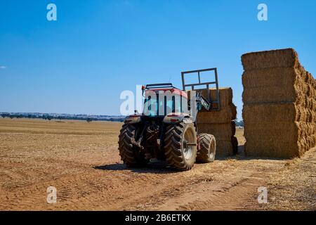 A tractor loads a farmer's bales of hay onto a truck. In Victoria, Australia. Stock Photo