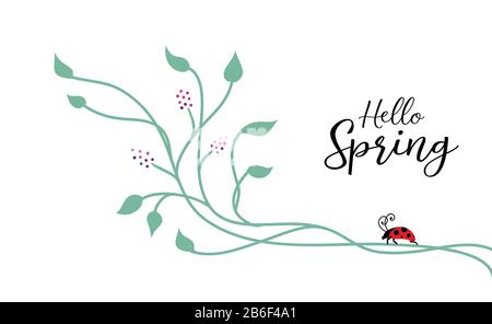 Spring background design with nature design elements of climbing ivy vines or floral design with cute lady bug on corner border, typography saying Hel Stock Photo