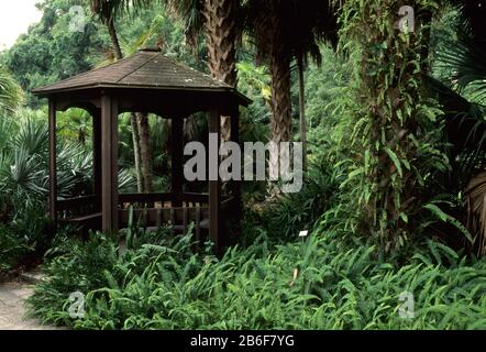 Kanapaha Botanical Gardens, Gainesville, Florida Stock Photo