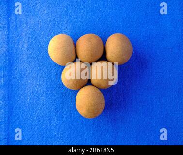 Longan fruits on blue background. Stock Photo