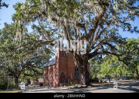 Church of St. James under tree with Spanish moss, Tallahassee, Florida, USA Stock Photo