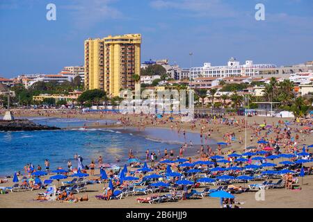 Full bathing beach, Playa de las Vistas, Los Cristianos, Tenerife, Canary Islands, Spain Stock Photo