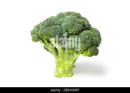 Broccoli isolated on white background Stock Photo