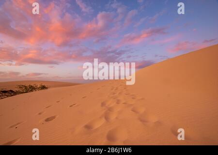 wonderful, dramatic sky over the sandy desert after sunset Stock Photo
