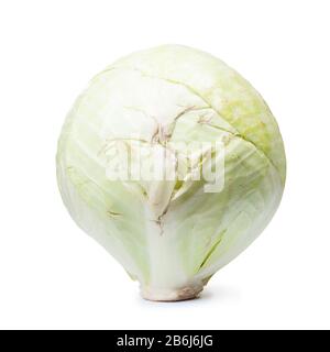 Damaged head of cabbage isolated on white Stock Photo