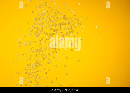 Concept of flying yellow raw italian pasta on yellow background with unfocused elements. Stock Photo