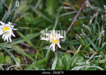 Colorful backgrounds can also be used as wallpapers in best photo quality Stock Photo